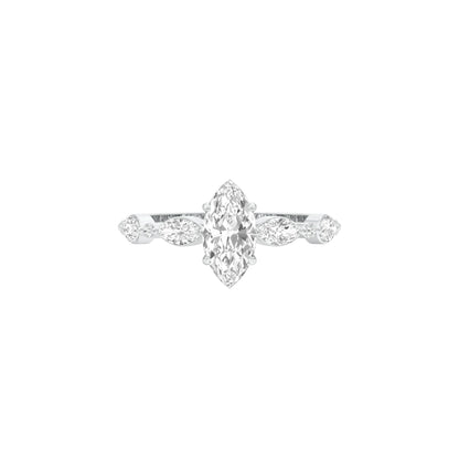 DLR001469 18 KT / White Gold / 22