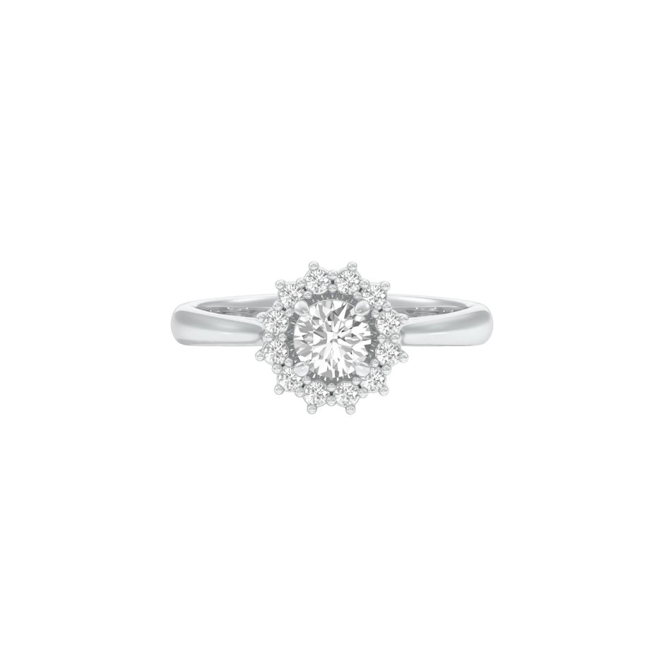 DLR001479 18 KT / White Gold / 22