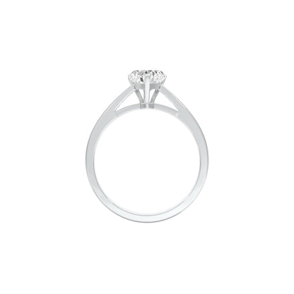 DLR001491 18 KT / White Gold / 22