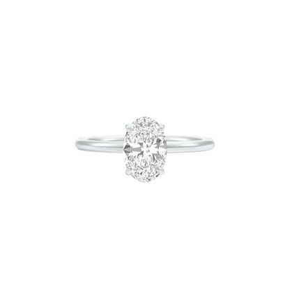 DLR001492 18 KT / White Gold / 22