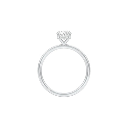 DLR001492 18 KT / White Gold / 22