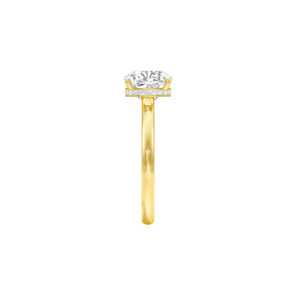 DLR001495 18 KT / Yellow Gold / 22