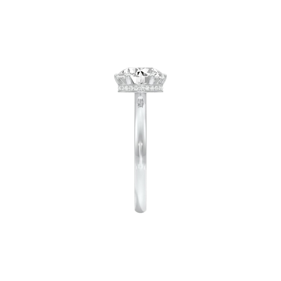 DLR001499 18 KT / White Gold / 22