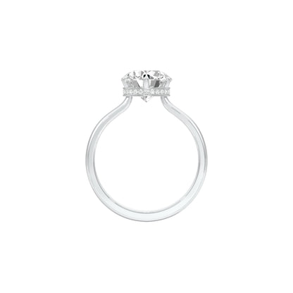 DLR001499 18 KT / White Gold / 22