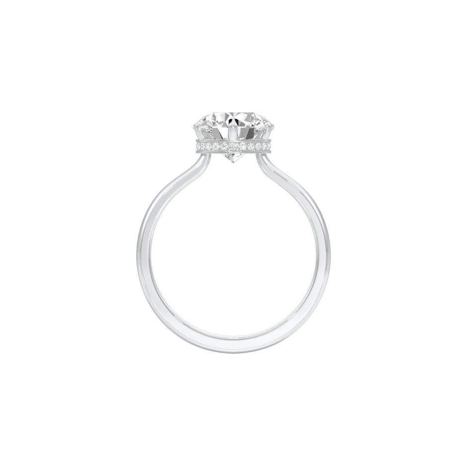 DLR001499 18 KT / White Gold / 22