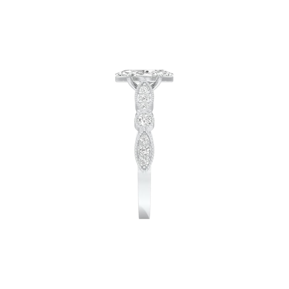 DLR001504 18 KT / White Gold / 22