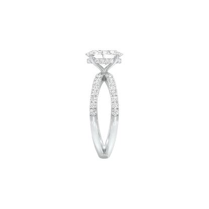 DLR001508 18 KT / White Gold / 22