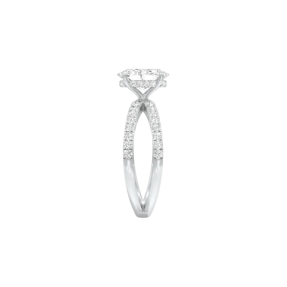 DLR001508 18 KT / White Gold / 22