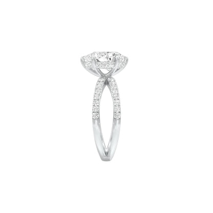 DLR001509 18 KT / White Gold / 22
