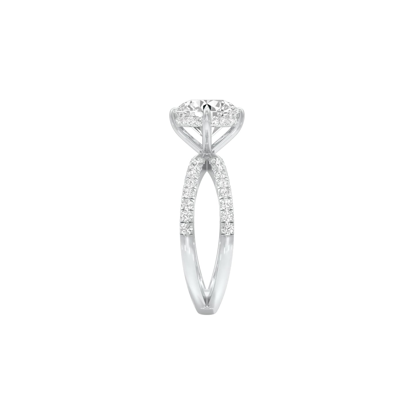 DLR001510 18 KT / White Gold / 22