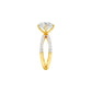 DLR001510 18 KT / Yellow Gold / 22