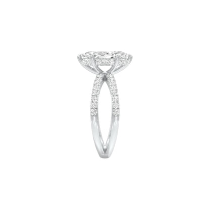 DLR001511 18 KT / White Gold / 22