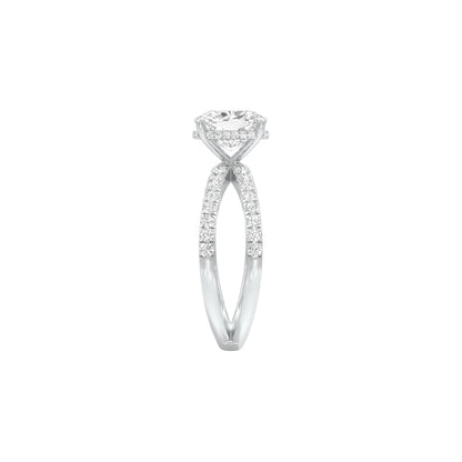 DLR001513 18 KT / White Gold / 22