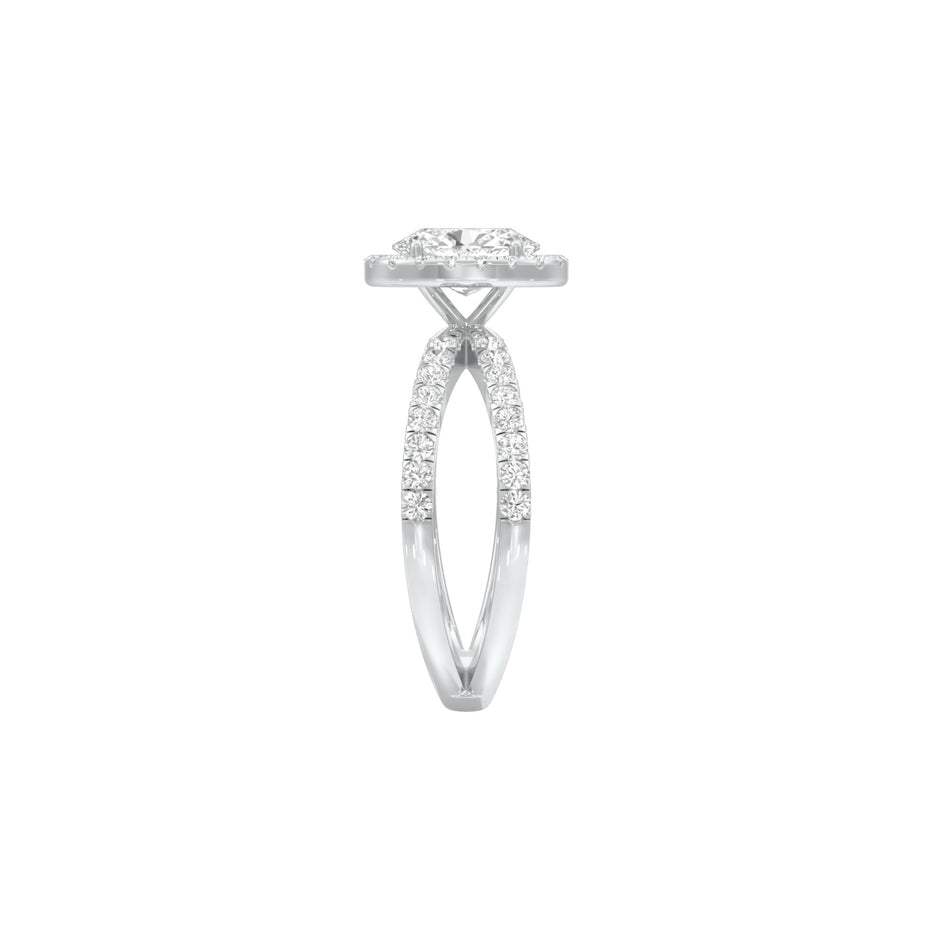 DLR001517 18 KT / White Gold / 22
