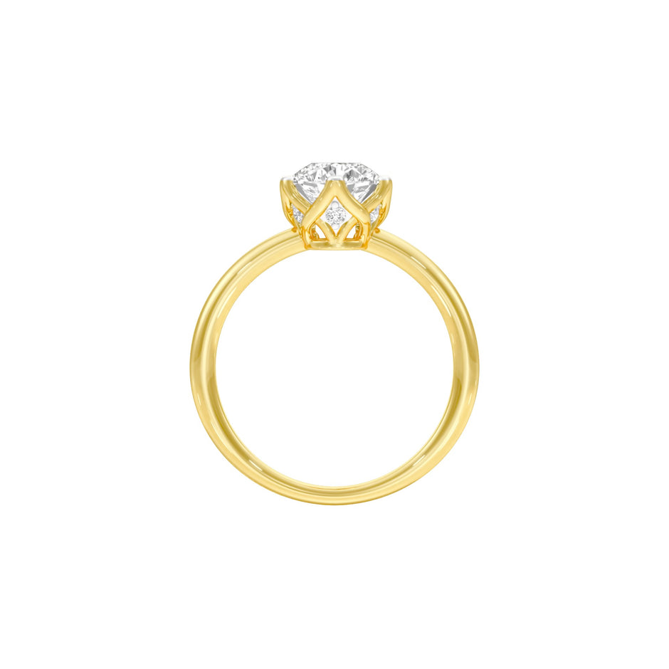 DLR001518 18 KT / Yellow Gold / 22