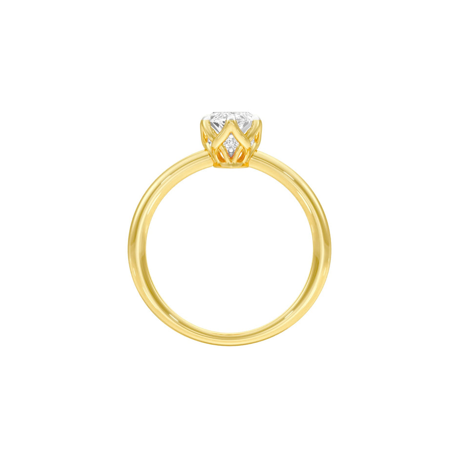 DLR001519 18 KT / Yellow Gold / 22