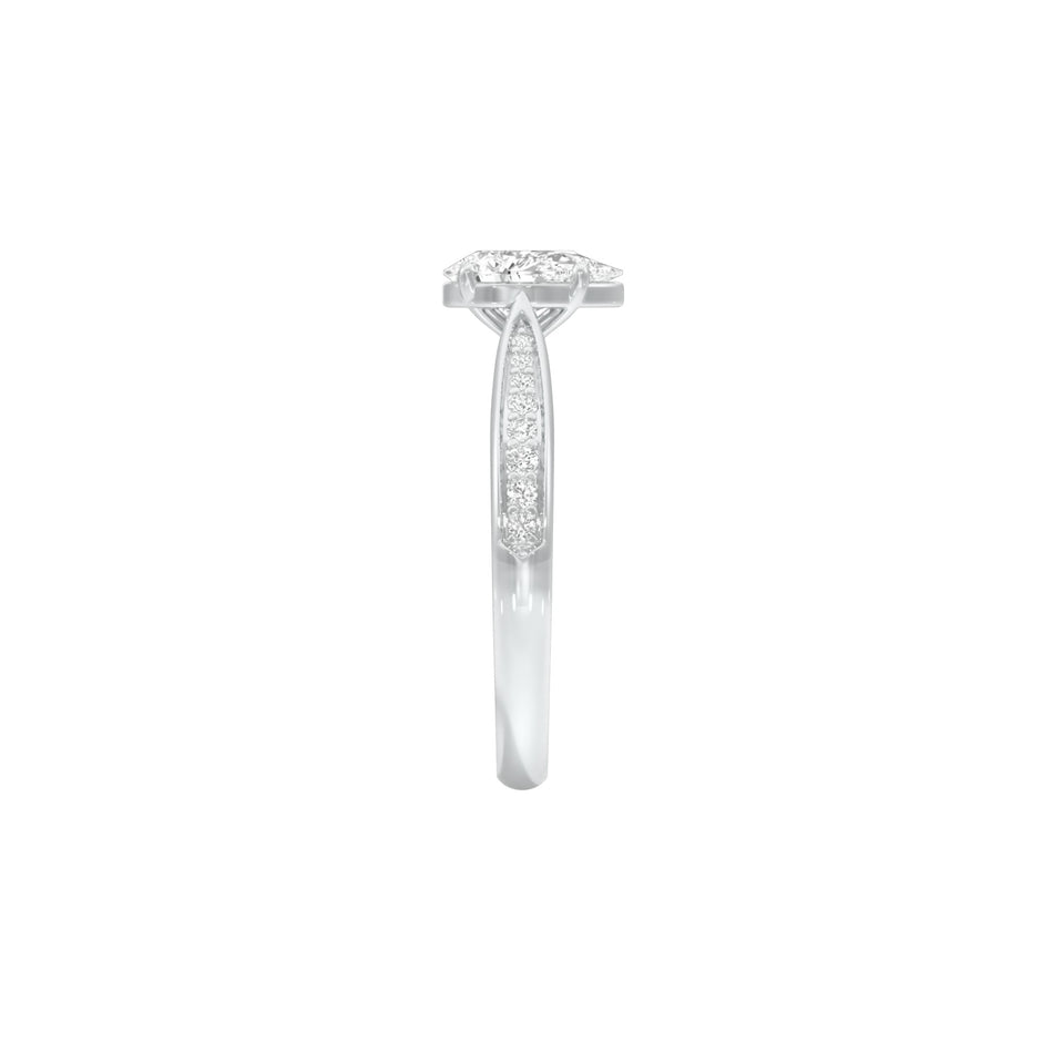 DLR001522 18 KT / White Gold / 22