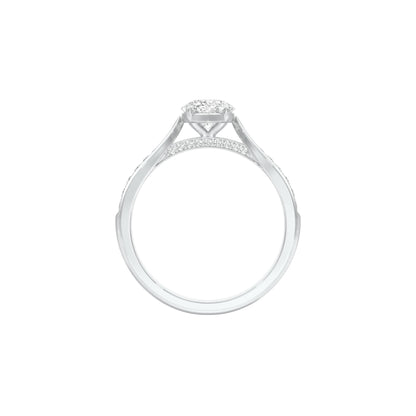 DLR001522 18 KT / White Gold / 22