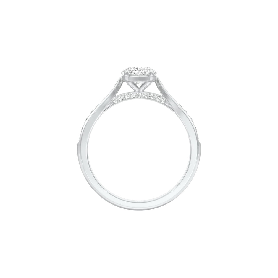 DLR001522 18 KT / White Gold / 22