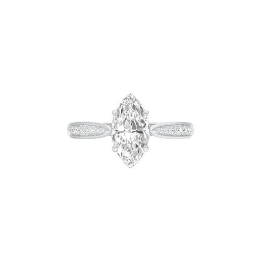 DLR001523 18 KT / White Gold / 22
