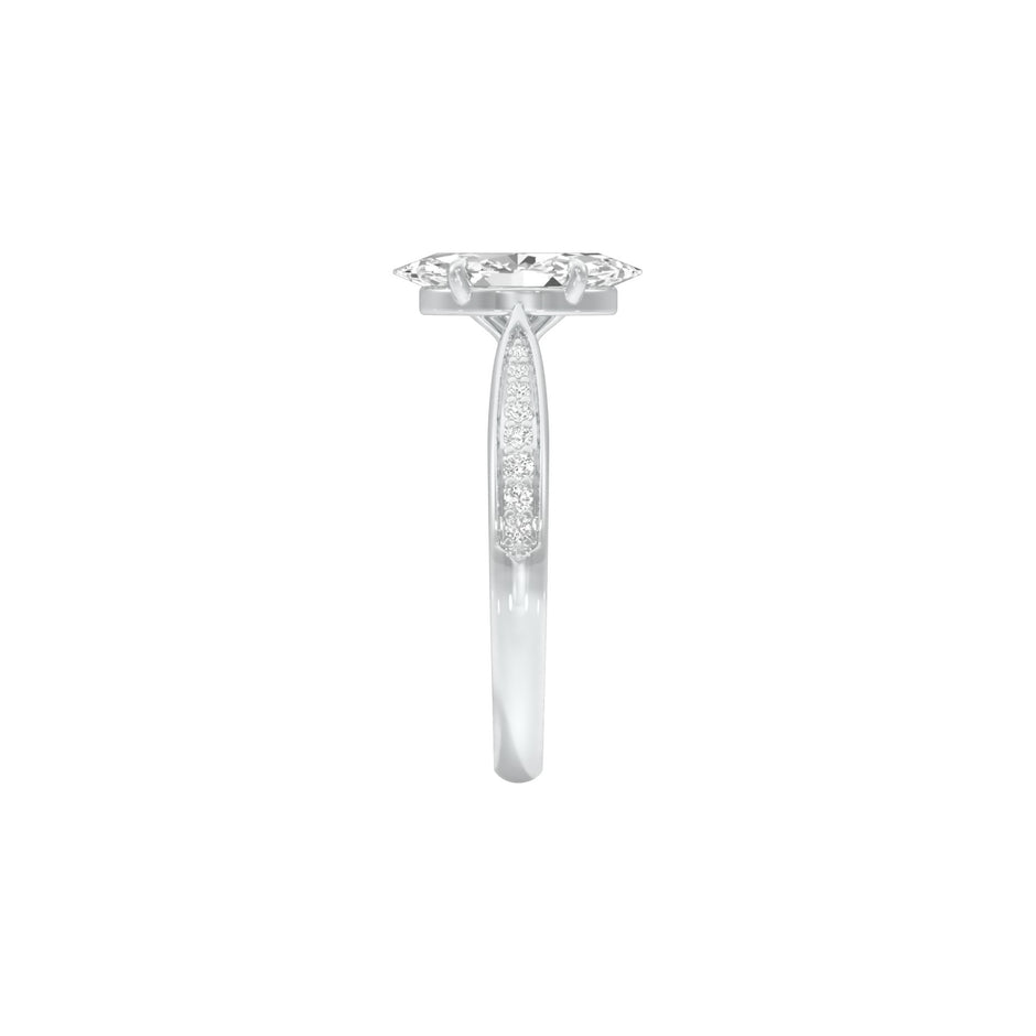 DLR001523 18 KT / White Gold / 22