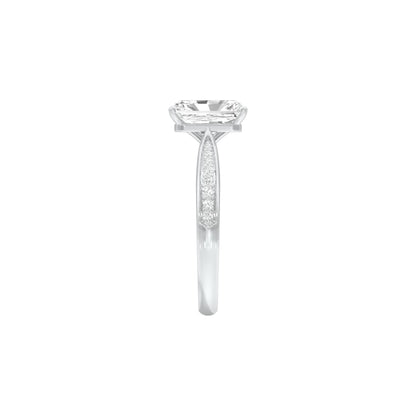 DLR001525 18 KT / White Gold / 22