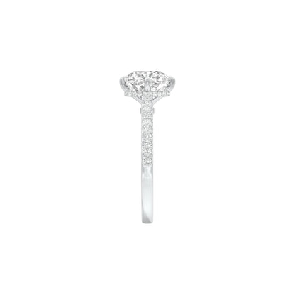 DLR001530 18 KT / White Gold / 22