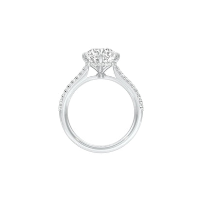 DLR001530 18 KT / White Gold / 22