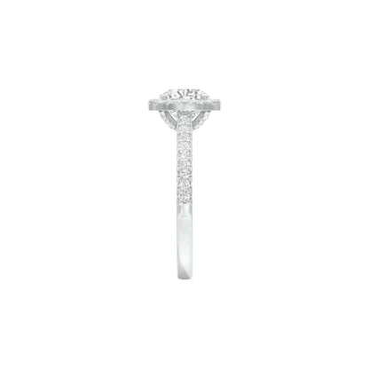 DLR001531 18 KT / White Gold / 22
