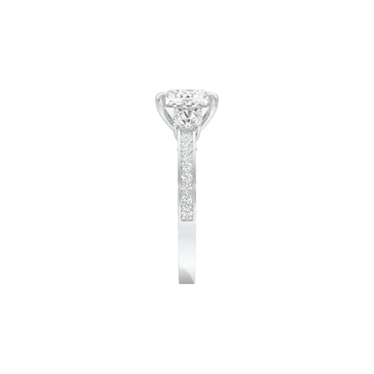 DLR001532 18 KT / White Gold / 22