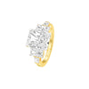 DLR001535 18 KT / Yellow Gold / 22