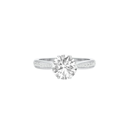 DLR001536 18 KT / White Gold / 22