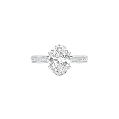 DLR001537 18 KT / White Gold / 22