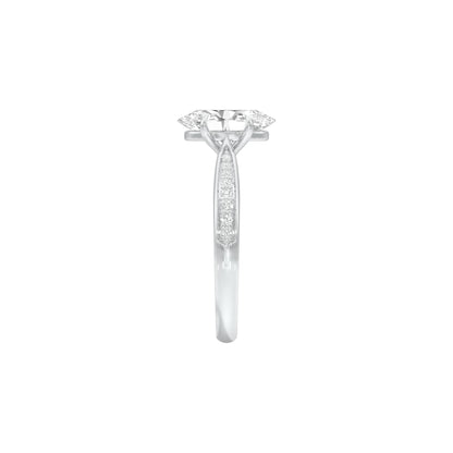 DLR001537 18 KT / White Gold / 22