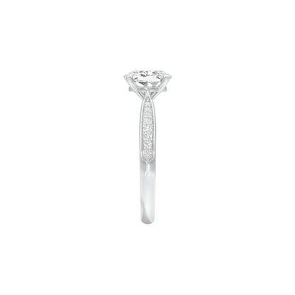 DLR001538 18 KT / White Gold / 22