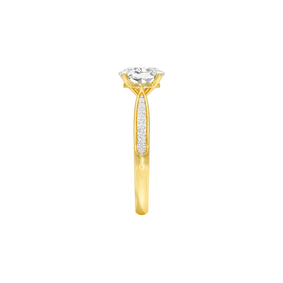 DLR001538 18 KT / Yellow Gold / 22