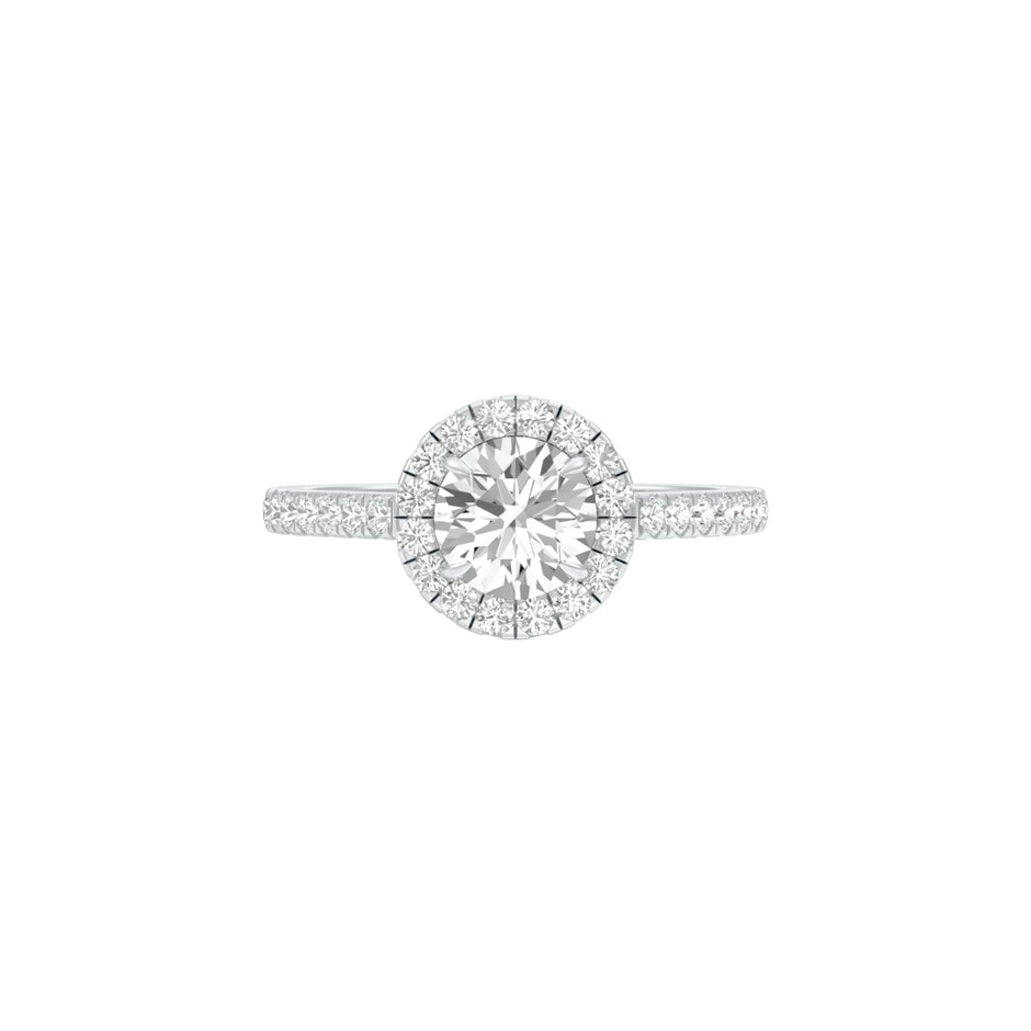 DLR001546 18 KT / White Gold / 22