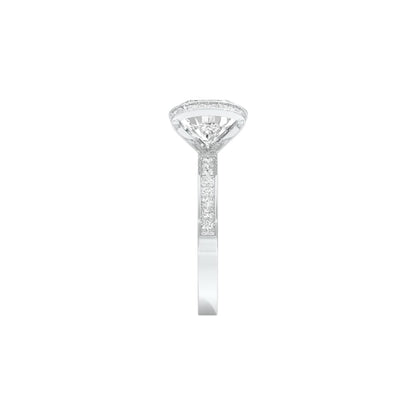 DLR001547 18 KT / White Gold / 22