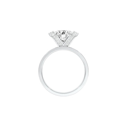 DLR001547 18 KT / White Gold / 22
