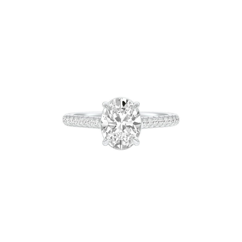 DLR001551 18 KT / White Gold / 22