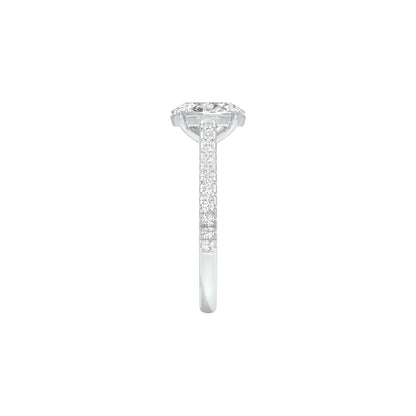 DLR001551 18 KT / White Gold / 22