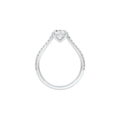 DLR001551 18 KT / White Gold / 22
