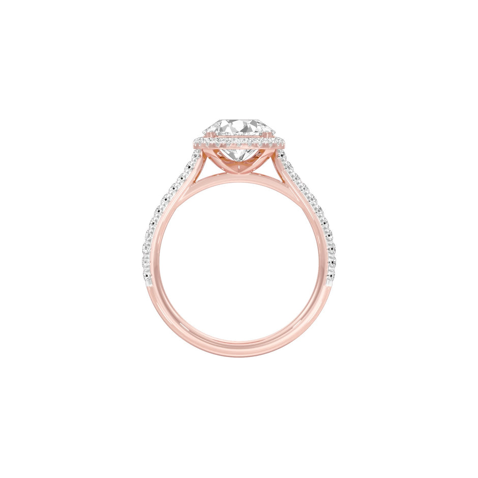 DLR001553 18 KT / Rose Gold / 22