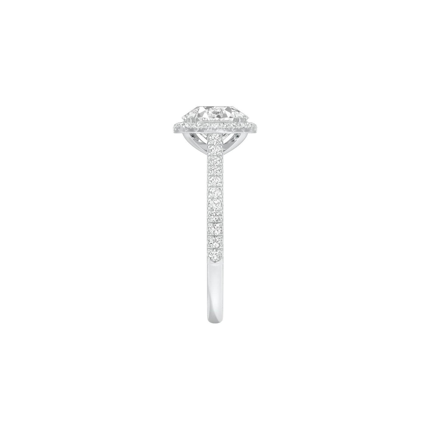 DLR001553 18 KT / White Gold / 22
