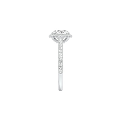 DLR001553 18 KT / White Gold / 22