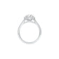 DLR001553 18 KT / White Gold / 22