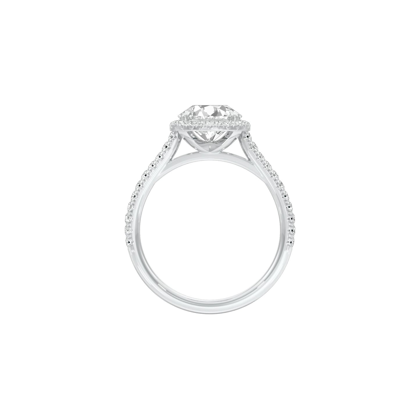 DLR001553 18 KT / White Gold / 22
