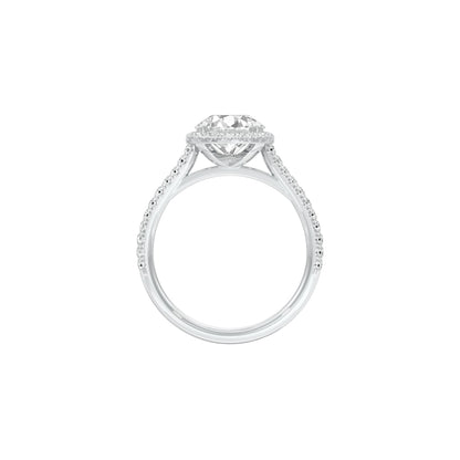 DLR001553 18 KT / White Gold / 22