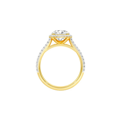DLR001553 18 KT / Yellow Gold / 22