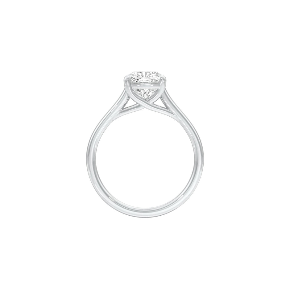 DLR001554 18 KT / White Gold / 22